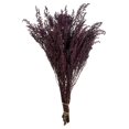 thumbnail image 1 of Vickerman H1STB575 Stoebe Violet de 14 à 18 Po - Lot de 5 à 6 oz, 1 of 1