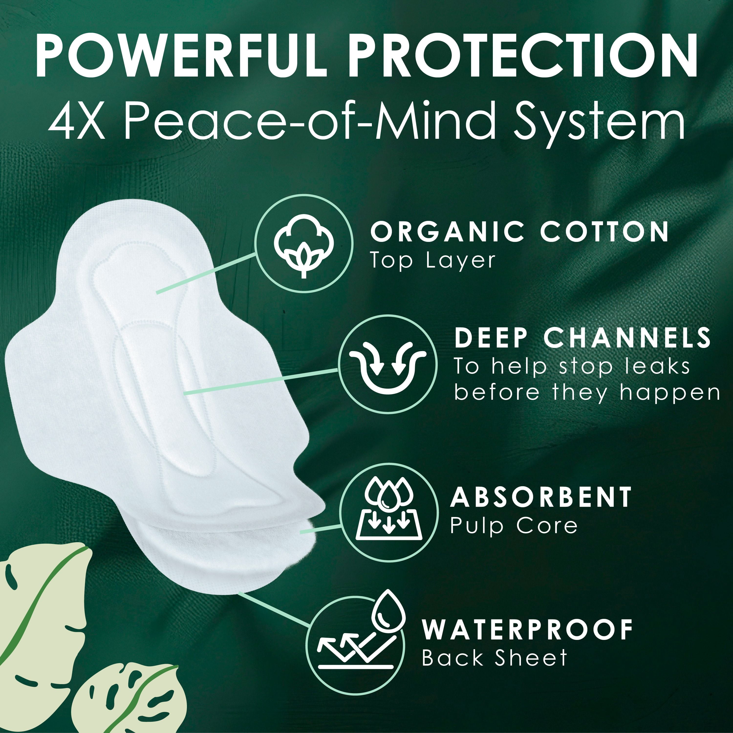 L. Serviettes Ultra-Minces pour Femmes, Voile Supérieur en Coton Biologique, Absorption de Nuit, Serviettes Menstruelles avec Ailes 36 Unités