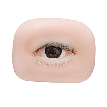 lionlar Modèle d'Oeil en Silicone 5D Pratique Léger Pratique pour Débutants Usage à Domicile Oeil Gauche