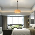 thumbnail image 3 of Grass Vine Pendant Light Fixture Restaurant Ceiling Lighting Hanging Lamp Bird Nest, 3 of 8