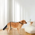 thumbnail image 3 of Housse de Protection pour Queue de Chien pour Blessure et Perte de Poils Beauté Léchage et Morsure Équipement de Protection Ajustable, 3 of 5