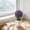Purple, variant on Artificial Potted Plants Money Tree Grass Ball Bonsai Home Decor Floral Ornaments Creatives Mini Round Ball Devise Suitable For Indoor Tabletop Decoration