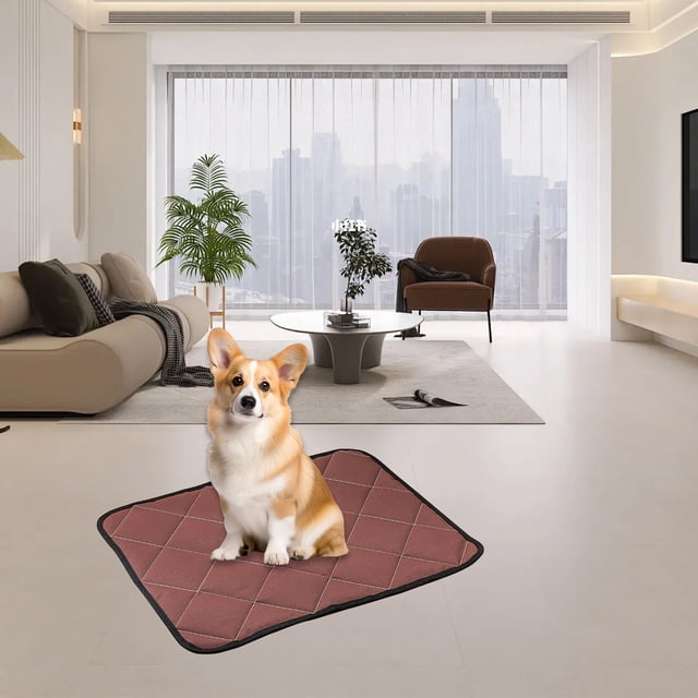 Sentmoon jusqu'à 40 % de Rabais Tapis d'Urine pour Chiot Lavable Convenant aux Chiots/chiens Âgés Séchage Rapide et Tapis d'Urine pour Chiot Réutilisable Convenant à l'Intérieur et à l'Extérieur et aux Voyages en Voiture Articles en Solde pour la Journée