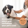 thumbnail image 4 of ATTITUDE Furry Friends, Shampoo, Soothing Oatmeal, Unscented, Pet care, Dog Shampoo, 473 mL, 4 of 6
