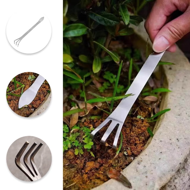 Râteau à Racines Bonsaï pour Aération et Ameublissement du Sol de Jardin Extérieur avec Conception à 3 Broches en Acier Inoxydable Outil de Jardinage Polyvalent pour la Préparation du Sol Racinaire