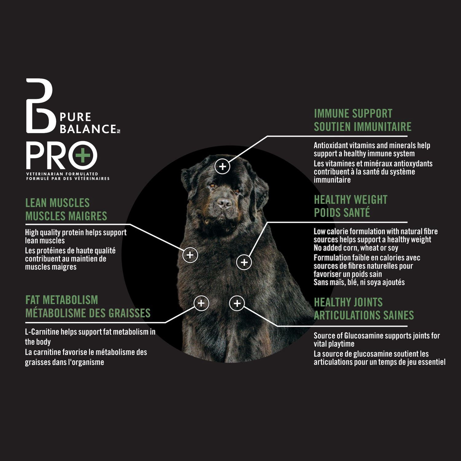 Pure Balance Pro+ Gestion du Poids, Recette de Poulet et d'Avoine Nourriture Sèche pour Chiens 3.5KG