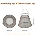 thumbnail image 2 of AMERTEER Egg Basket Galvanized Collapsible Egg Mesh Box Fast-Drying Portable Egg Storage Basket Easy Washing Kitchen Grocery Storage Organizer for Vegetable Onion Potato Fruit, 2 of 9