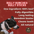 thumbnail image 4 of Bully Bunches 12" Braided Bully Sticks Odour Free All Natural Dog Chews 10 Pack, 4 of 9