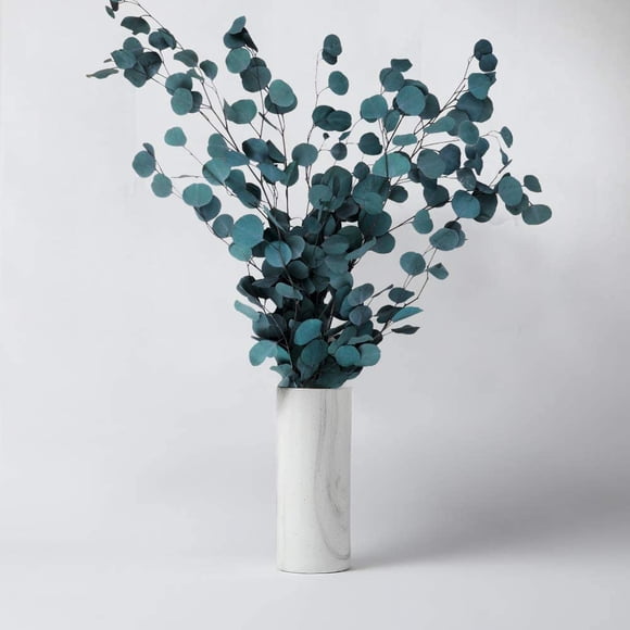 Eucalyptus Dried Flowers Real, Eucalyptus Dried Flowers Bouquet High Quality Pure Natural Plant Round Leaf Eternal Life and Fresh, Dried Flowers Decoration for Party