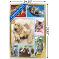 thumbnail image 2 of Keith Kimberlin - Collage de chiots et de chatons, 2 of 4