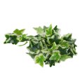 thumbnail image 3 of Senjay Artificial Reptile Plant, Lifelike Plastic Plant Soft For Fish Tank For Reptiles Terrarium, 3 of 8