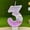 D, variant on Dog Paw Birthday Number Candles For Cake Decoration Dog Paw Number Candle Dog Themed Birthday Cake Topper For Party Decorations Favors Supplies