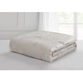 thumbnail image 2 of Beco Home Gatsby 3 Piece Reversible Comforter Set, 2 of 3