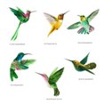 thumbnail image 3 of EGNMCR Wall Stickers, Cute Stickers Hummingbird Bird Sticker Room Living Room Window Decoration Wall Sticker graffiti paper, 3 of 3
