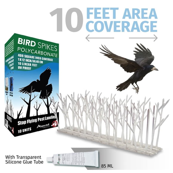 Aspectek Polycarbonate Bird Spikes for Pigeons and other Small Birds - 10 feet coverage, with Adhesive Glue