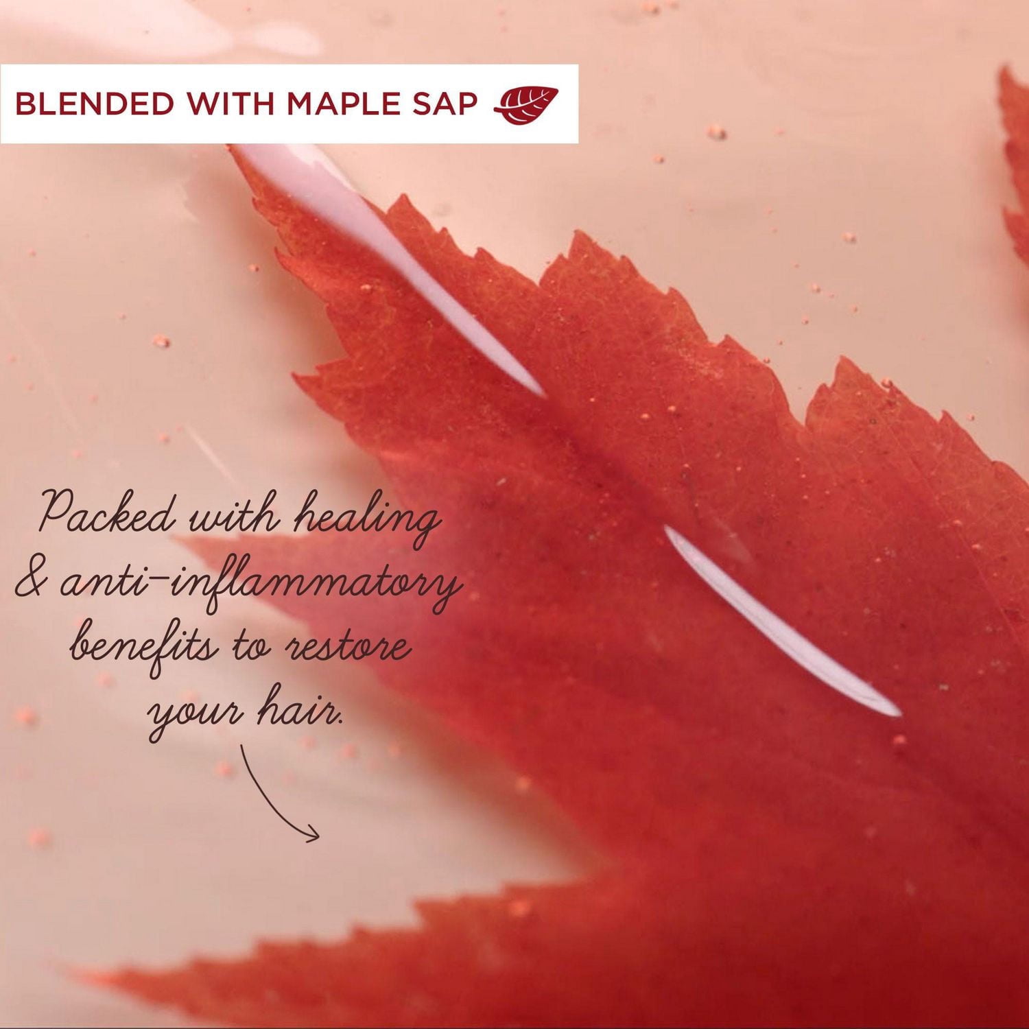 Garnier Whole Blends Remède à l'Huile de Ricin Revitalisant