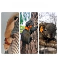 thumbnail image 5 of TIELUTT Squirrel Leash And Harness for Small Medium Large Adjustable Soft Mesh Vest No Reflective Strap for Walking Dog Leash Large Worry Dogs Small Puppy Leash Leather Dog Leash Large Leash for Big D, 5 of 5
