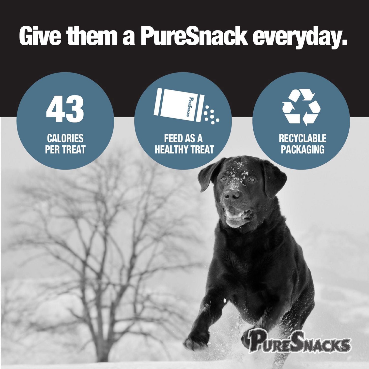 PureSnacks jerky de poulet et patate douce pour chien