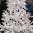 thumbnail image 3 of Novelty Lights 24FT 70 LED C6 Pure White Christmas String Lights, Outdoor, 3 of 6