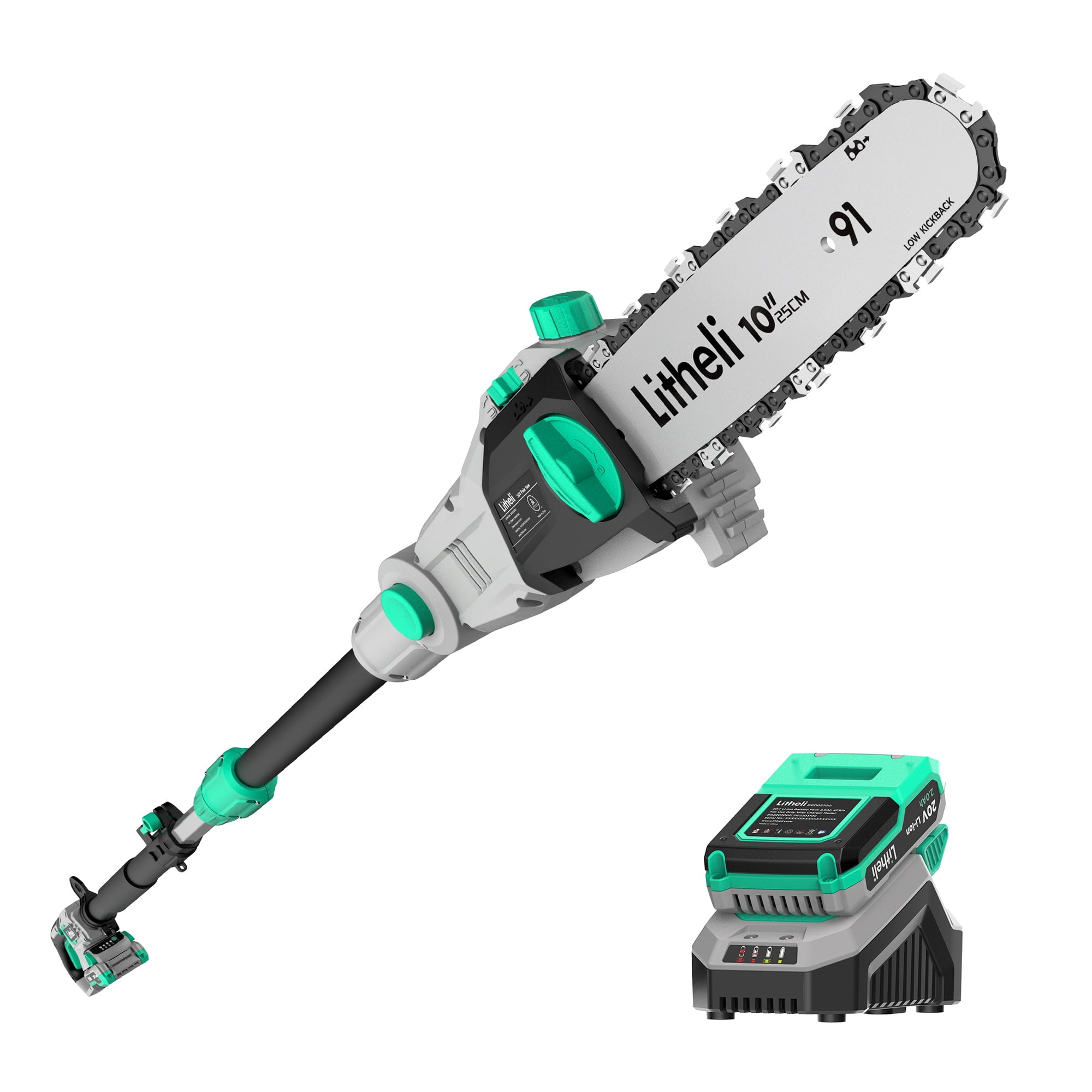 Litheli Cordless Pole Saw 10-Inch, 20V Battery-Powered Pole Saws for Tree Trimming, Tree Trimmer for Branch Cutting, Trimming, Pruning, with 2.0Ah Battery & Charger