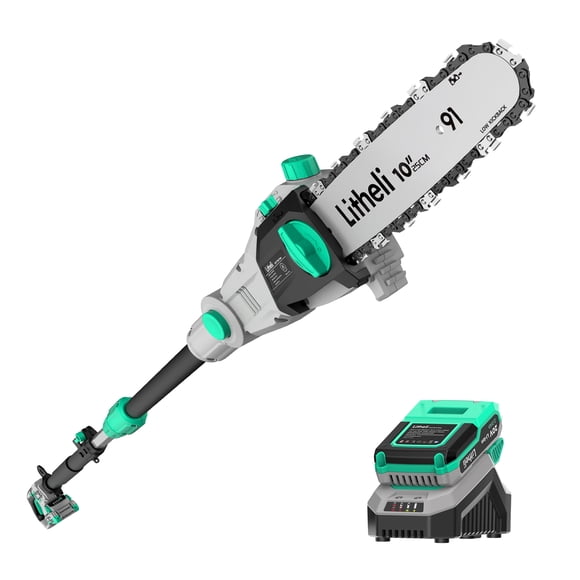 Litheli Cordless Pole Saw 10-Inch, 20V Battery-Powered Pole Saws for Tree Trimming, Tree Trimmer for Branch Cutting, Trimming, Pruning, with 2.0Ah Battery & Charger