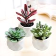 thumbnail image 3 of Coofit 3PCS Artificial Succulents Mini Decorative Potted Fake Succulents Faux Plants, 3 of 10