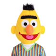 thumbnail image 2 of Déguisement Bert Sesame Street pour Adulte Grande Taille, 2 of 8