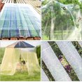 thumbnail image 3 of Jinsinto Garden Insect Screen - Insect Barrier Netting Mesh Bird Netting Garden Plant Cover for Protecting Plants Vegetables Fruits Flowers from Birds & Insects 2.5*6m, 3 of 5