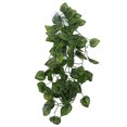 thumbnail image 2 of Simulation Rattan Landscaping, Neatly Cut Edges No Burrs Variety Of Models Hanging Plant False Vine  For Aquariums For Daily For Reptile Boxes For Fish Tanks NFF-80 Fruit Su, 2 of 8