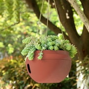 Zenithome Medium Hanging Basket Planter with Water Barrier, Rattan Style Plastic Plant Pot for Succulents Ivy, Indoor Outdoor Home Decor