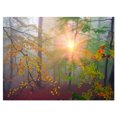 thumbnail image 2 of Morning in Misty Green Forest - Landscape Photo Canvas Art Print, 2 of 3