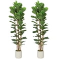 thumbnail image 1 of HOMCOM Ensemble de 2 Fausses Feuilles de Figuier, Arbre Factice de 6 Pi pour Déco Intérieure, 1 of 10