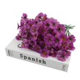 thumbnail image 1 of Fleurs Artificielles Fausses Plantes Résistantes d'Extérieur Arbustes Décor Nouveau, 1 of 7