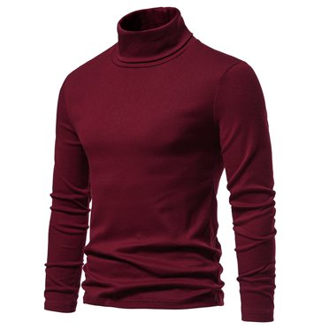 EGNMCR Chandail à Col Roulé pour Homme Hiver Décontracté Élégant Couleur Unie Élasticité Ajusté Manches Longues Chandails Hauts Blouse Chaud Chandail Col Montant T-Shirt de Base