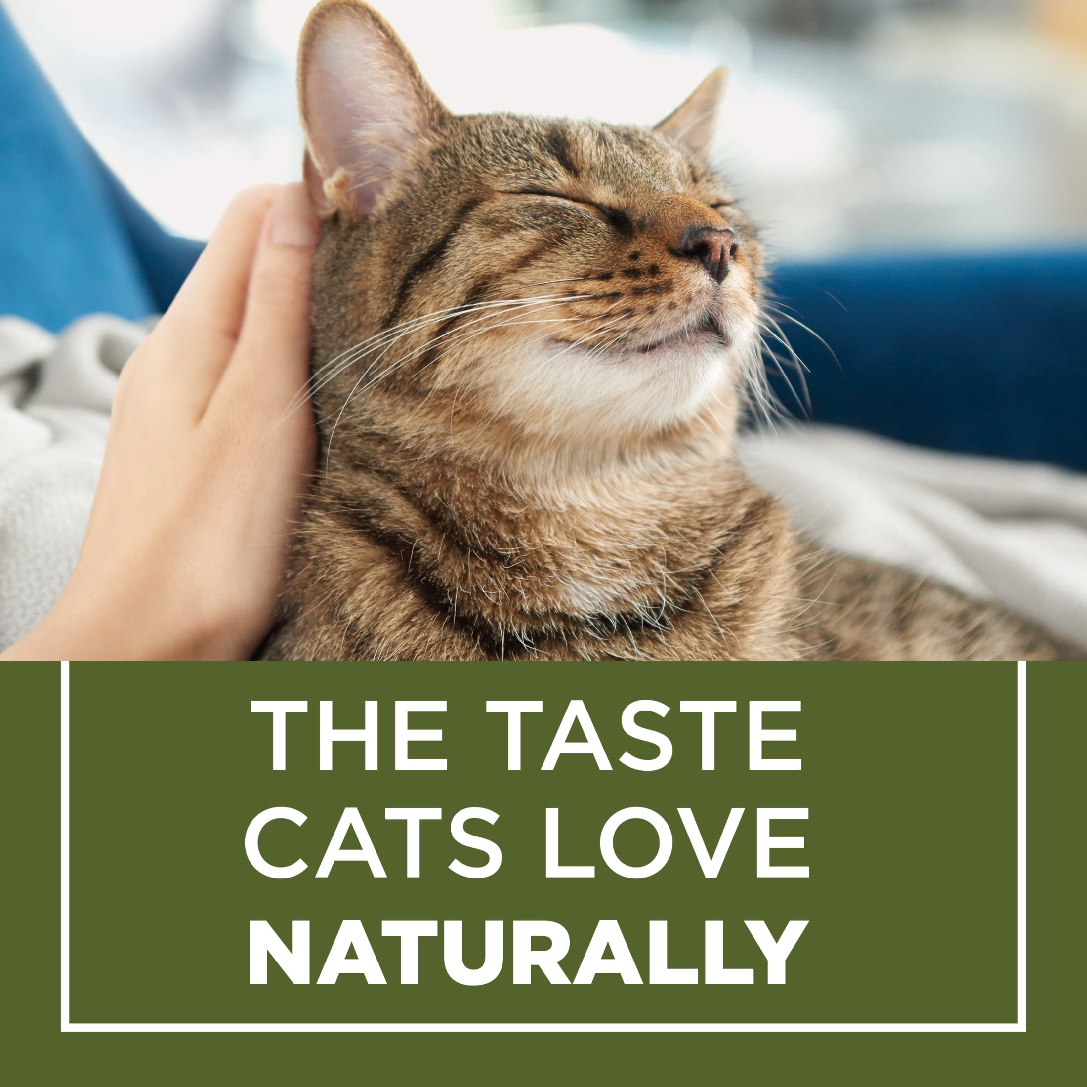 Cat Chow Naturel avec Vrai Poulet et Vrai Saumon Nourriture pour Chats