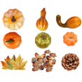 thumbnail image 1 of Ensemble de Citrouilles Artificielles Réalistes Fausses Citrouilles Décor pour l'Halloween, 1 of 10
