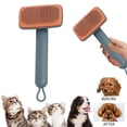 thumbnail image 3 of Cat Grooming Brush for Hair Removal and Detangling with Needle Comb Design, 3 of 3
