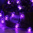 thumbnail image 4 of Heliisoer 40 LED Spider String Lights 19.7ft Halloween String Lights For Outdoor Indoor Decor Halloween Lighting For Yard Home Party Decorations, 4 of 8