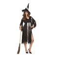 thumbnail image 1 of RG Costumes 81162 Mystic Witch Adult Costume - Standard Size, 1 of 3