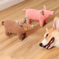 thumbnail image 2 of Pet Pet Toy Vocalization Relieve Depression Stimulate Gums Reduce  Plaque Chewable Pet Toy, 2 of 8