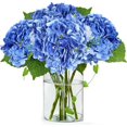 thumbnail image 1 of Nvzi 3 Pcs 21in Artificial Hydrangea Flower Large Natural Lifelike Real Touch Hydrangea Flower(Royal blue), 1 of 5