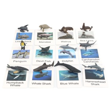 12x and undomesticated Animal Figures Animals Mini Animal Figures with Flash Cards Realistic for Themed Party Kindergarten Children Toddlers sea and undomesticated animals