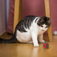 thumbnail image 4 of Funny Cat Toy Stretch Ball Juguetes Cats Creative Colorful Interactive Pussy Toy, 4 of 9