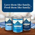 thumbnail image 4 of Blue Buffalo Homestyle Recipe Repas au bœuf pour chiens adultes, nourriture humide, boîte de 354 ml (12,5 oz), 4 of 8