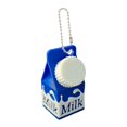 thumbnail image 1 of Pocket-Sized Pill Container Mini Milk Carton Pill Keychain for Backpack Pill Storage Purse for Handbag Lactose Unique, 1 of 8