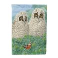 thumbnail image 1 of Carolines Treasures ASA2126GF Owlets Drapeau Format Jardin, 1 of 1