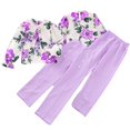 thumbnail image 4 of 2PCS Kids Girls Long Sleeve Printed Tops T Shirts+solid Color Pants Outfit Set Spring Fall Clothes for 7-12 Years, 4 of 8