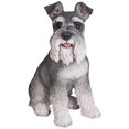 thumbnail image 2 of Grey Schnauzer, 2 of 10