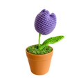 thumbnail image 1 of Crochet Pot Flower Tulip Rose Sunflower Fruit Shape Bright Color Soft Cute Craft Birthday Gift Colorfast Hand-knitted Flower Desk, 1 of 10