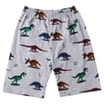 thumbnail image 3 of Little Hand Pyjama Garçon Ensemble Dinosaure Été 100 % Coton Pjs Tenue de Nuit 7T, 3 of 7